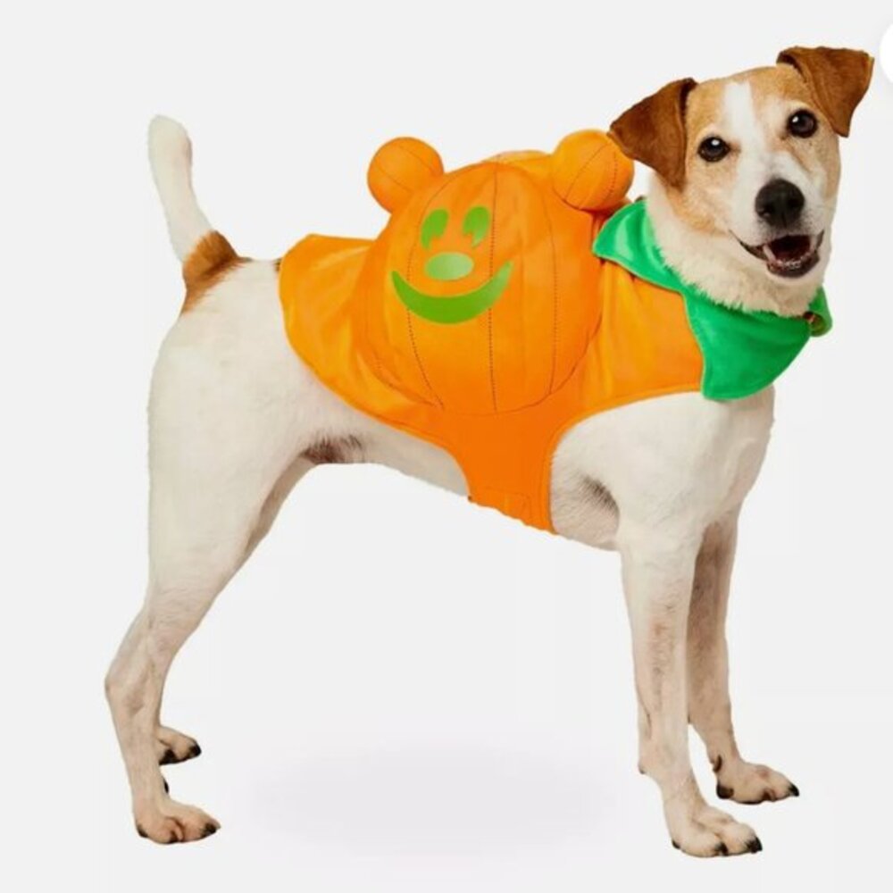Disney Parks Mickey jack o' lantern Pumpkin Glow in The Dark Costume‎ Pets Small